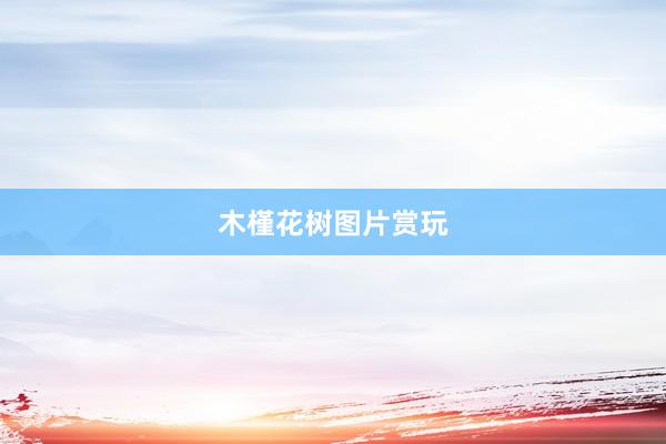 木槿花树图片赏玩